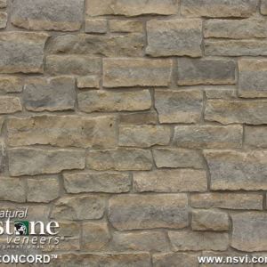 Concord (Thin Veneer Only)